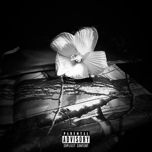 Love Is Dead (Freestyle) (Explicit)