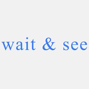 Wait & See (Explicit)