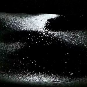 能遇到就已经很不可思议了