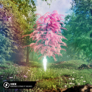 I Knew (feat. Bolshiee)