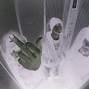 PINK FLOYD (Explicit)