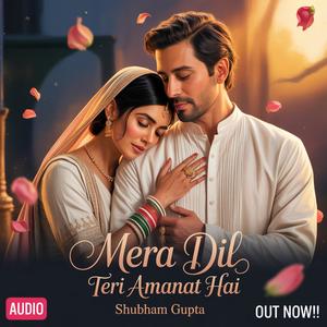 Mera Dil Teri Amanat Hai 2