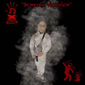 Domestic Violation