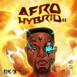 Afro Hybrid 0.1