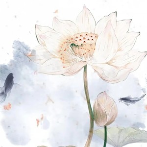 网易游戏-此梦缘君（国风古乐版）（月蚀音乐 remix）封面