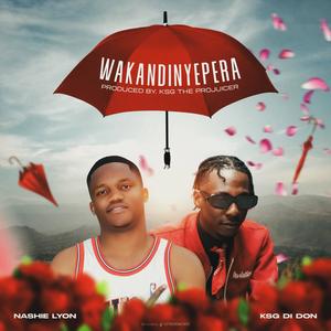 Wakandinyepera (feat. KSG Di Don)