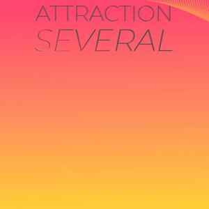 Attraction Several