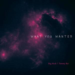 What You Wanted (Explicit)