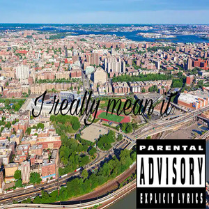 I Really Mean It (Explicit)