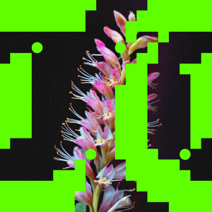 Better O'be New (Roy Rosenfeld Remix)