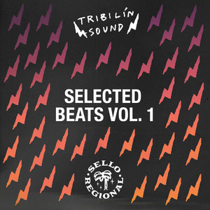 Selected Beats, Vol. 1