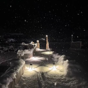 世界是孕育痛苦的子宫（暗叫）