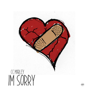 I'm Sorry (Explicit)