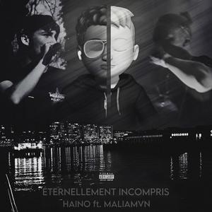 Éternellement Incompris (feat. Maliamvn) (Explicit)
