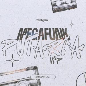 Mega Funk Putaria Vip (Explicit)