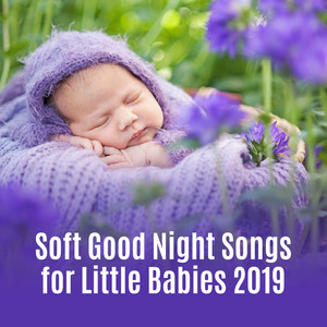 Soft Good Night Songs for Little Babies 2019