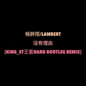 没有理由（King_et王紫 Hard Bootleg Remix）