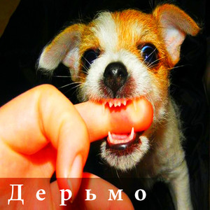 Дерьмо