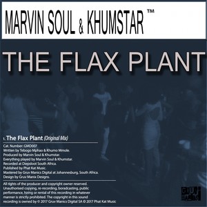 The Flax Plant