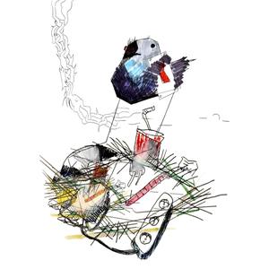 Wind-Up Birds (Explicit)