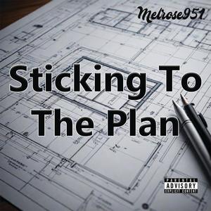 Sticking To The Plan (feat. Shady Guero) [Explicit]