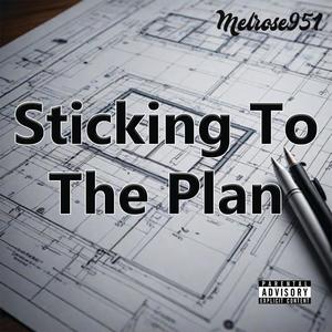 Sticking To The Plan (feat. Shady Guero) (Explicit)