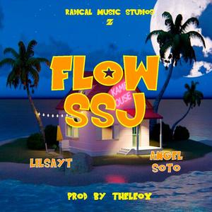 Flow SSJ (feat. Lilsayt & Angel Soto) (Explicit)