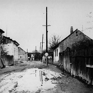 WTF (feat. Young Dinero) (Explicit)