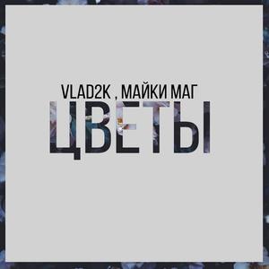 Ð¦Ð²ÐµÑ‚Ñ‹