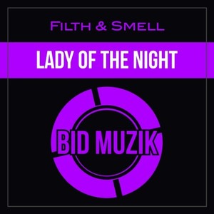 Lady of the Night (Original Mix)