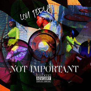 Not Important (Explicit)