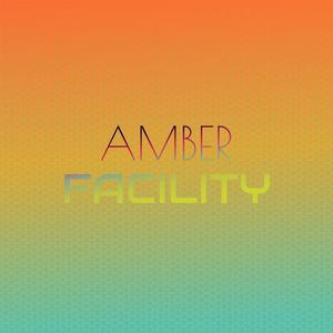 Amber Facility