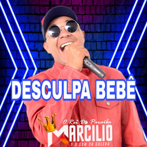 Desculpa Bebê