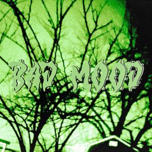 BAD MOOD (feat. Necrøstørm) (Explicit)