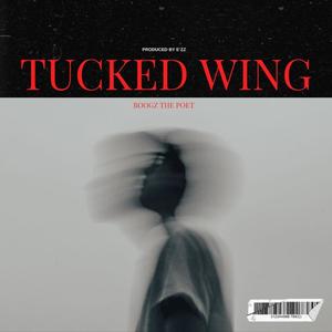 Tucked Wing (Explicit)