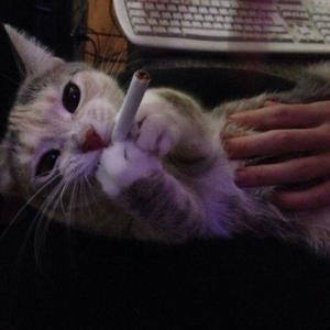 Sofaygo Diss (Explicit)