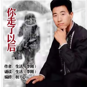你走了以后