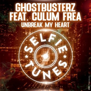 Unbreak My Heart (Radio Edit)