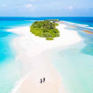 请你跳支舞 (bachata version)