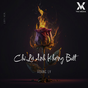 Chỉ Là Anh Không Biết (Lofi)