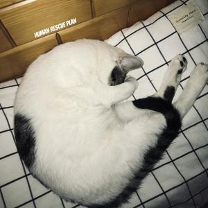 我不記得那天跟她說了什麼（D e m o）封面