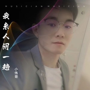 我来人间一趟