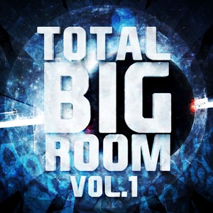 Total Bigroom, Vol. 1