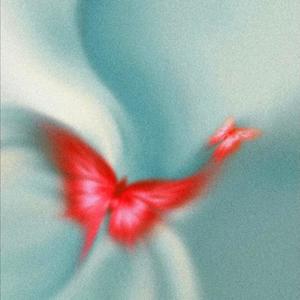 Wait For Paris (feat. Jakk & Kaxhin)