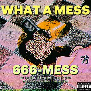 What a mess (feat. Young Matt) [Explicit]