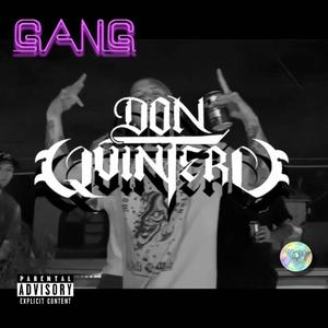 GANG (feat. Martin Ariel) [Explicit]