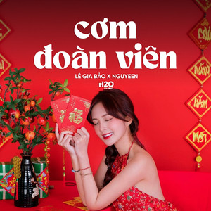 Cơm Đoàn Viên (Lofi)