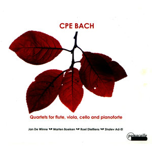 Sonata for Solo Flute in A Minor, Wq. 132 / H. 562: I. Poco Adagio