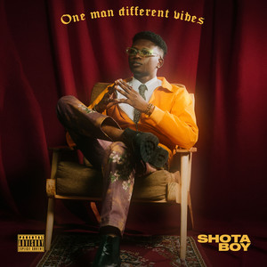 One Man Different Vibes (Explicit)