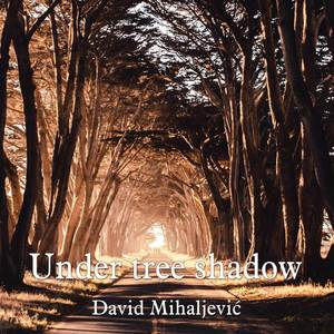 Under tree shadow